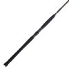 Penn Battalion II Inshore Spinning Rods